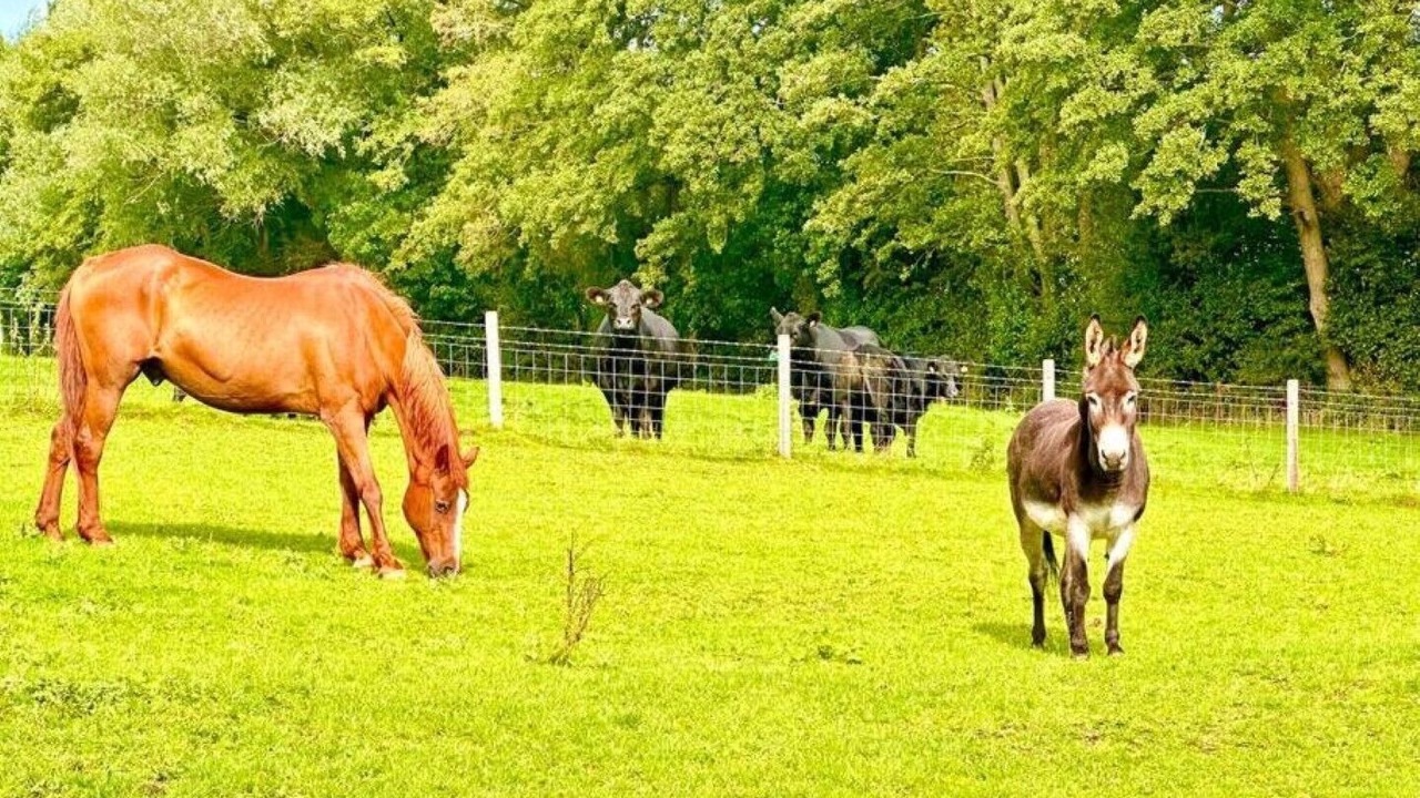 Photo of Others in Tredunnock