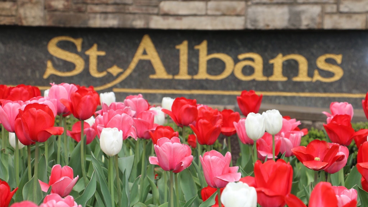 Photo of Outdoor in Saint Albans