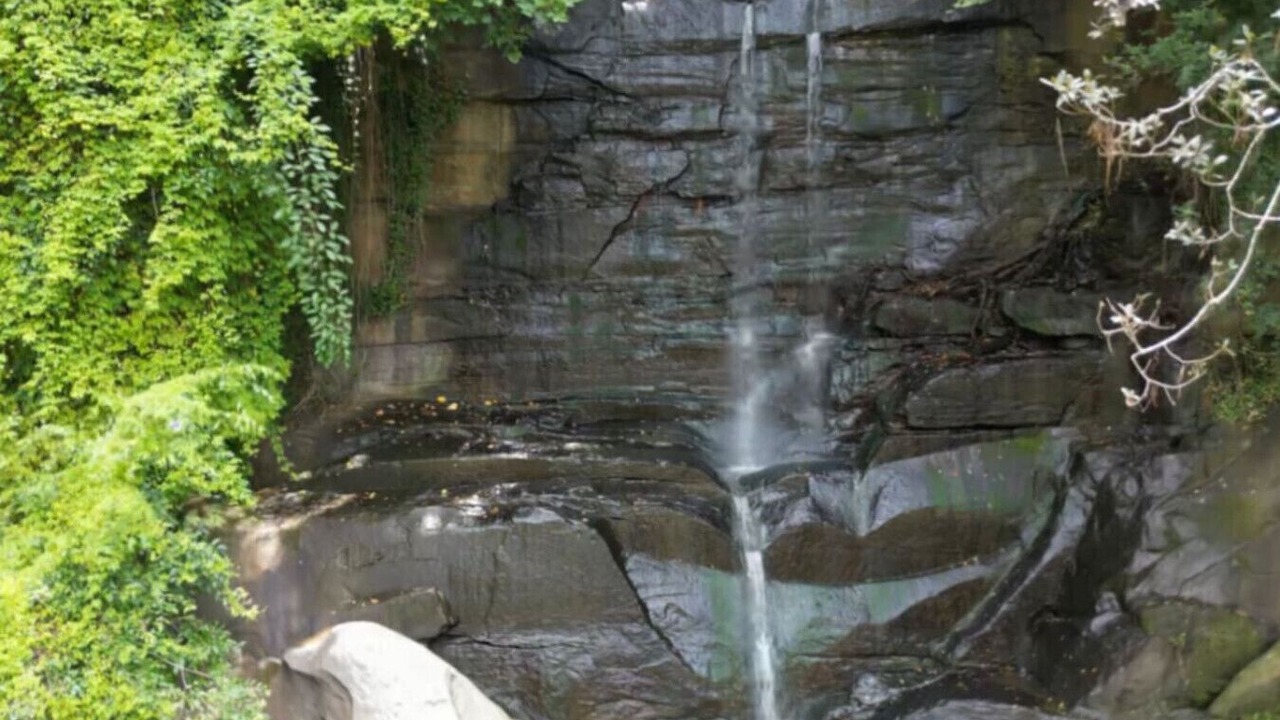 Photo of Others in Sydney