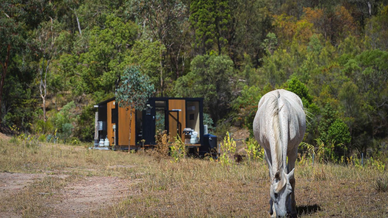 Photo of Others in Martindale