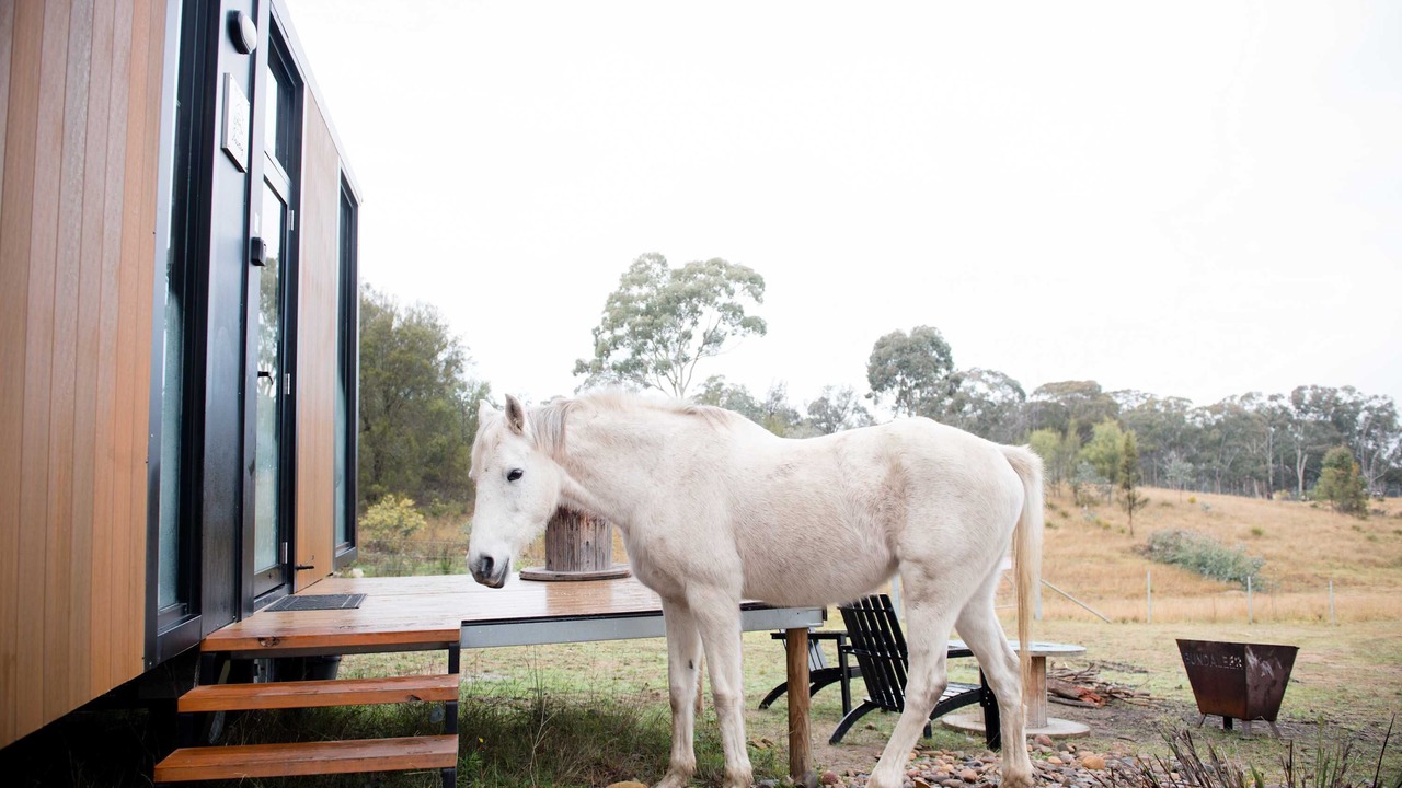 Photo of Outdoor in Martindale