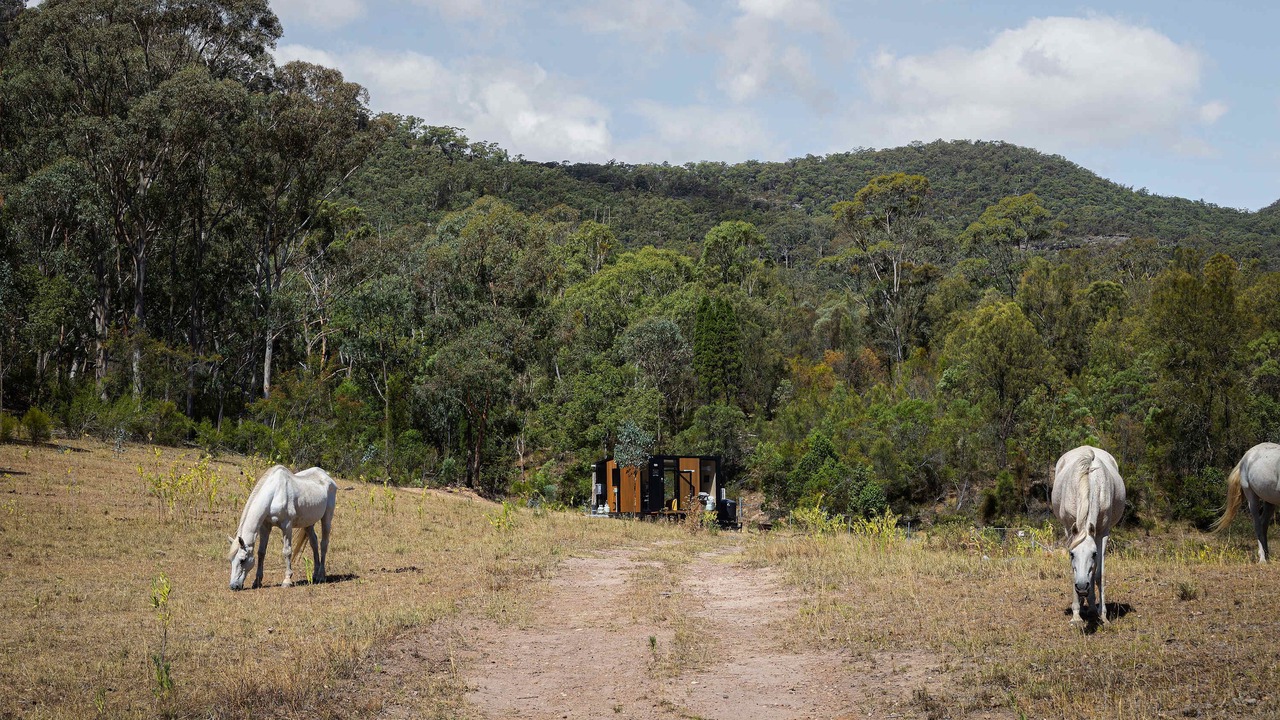 Photo of Others in Martindale
