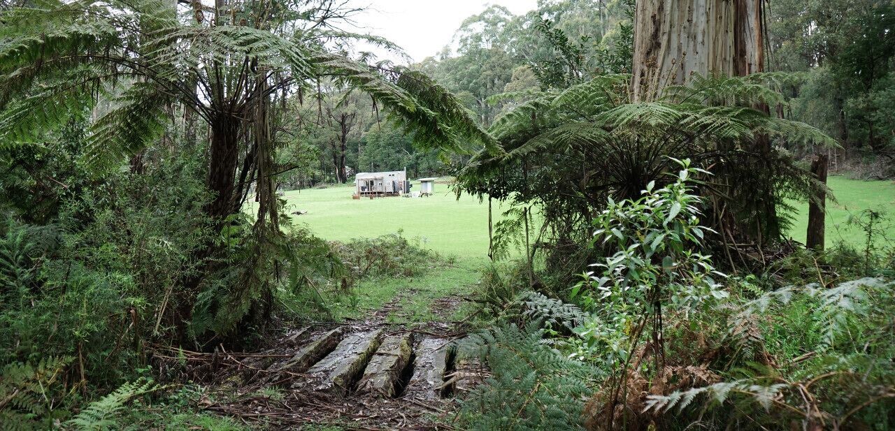 Photo of Outdoor in Toolangi