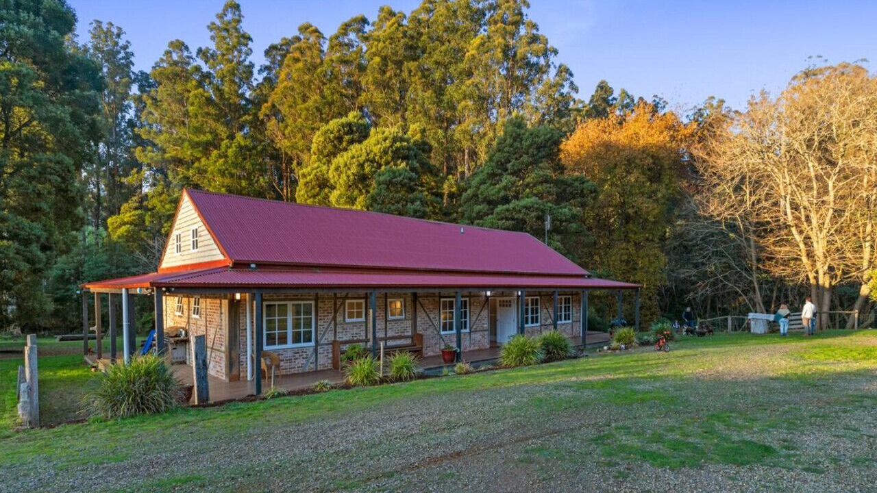 Photo of Outdoor in Toolangi
