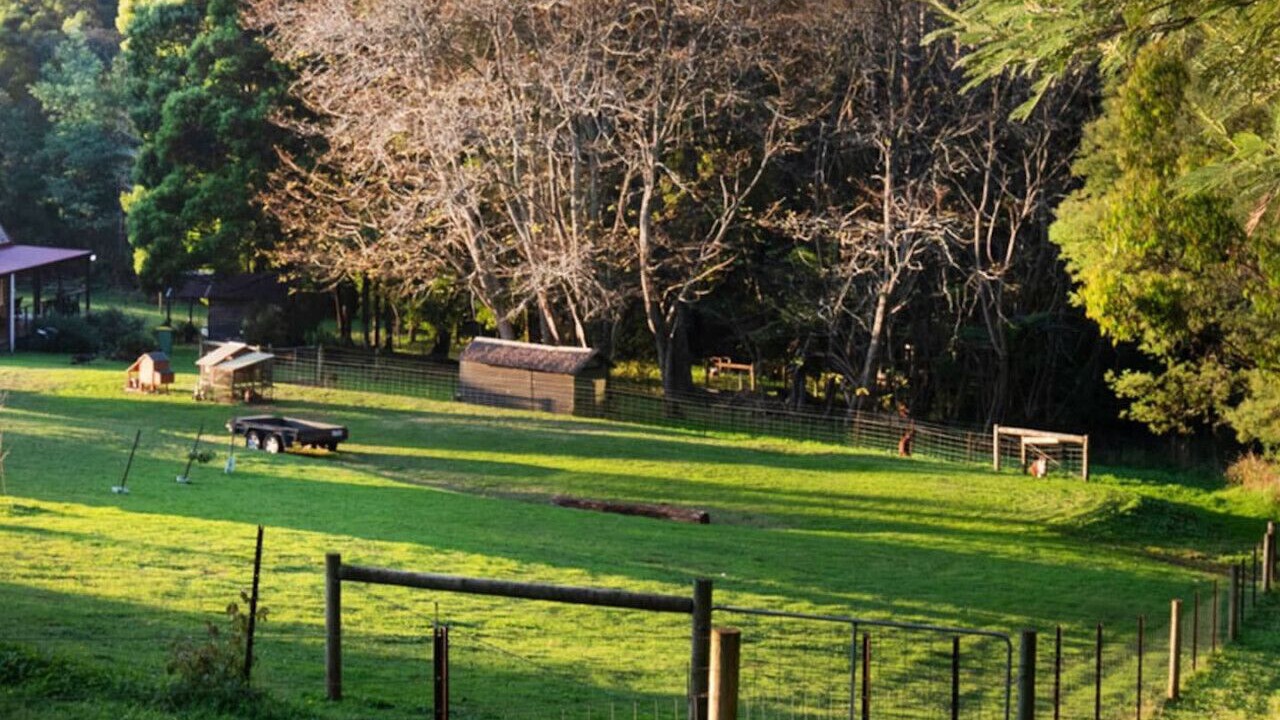 Photo of Others in Toolangi