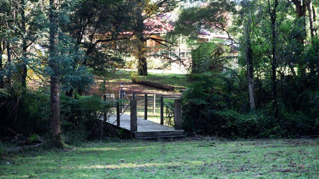 Photo of Outdoor in Toolangi