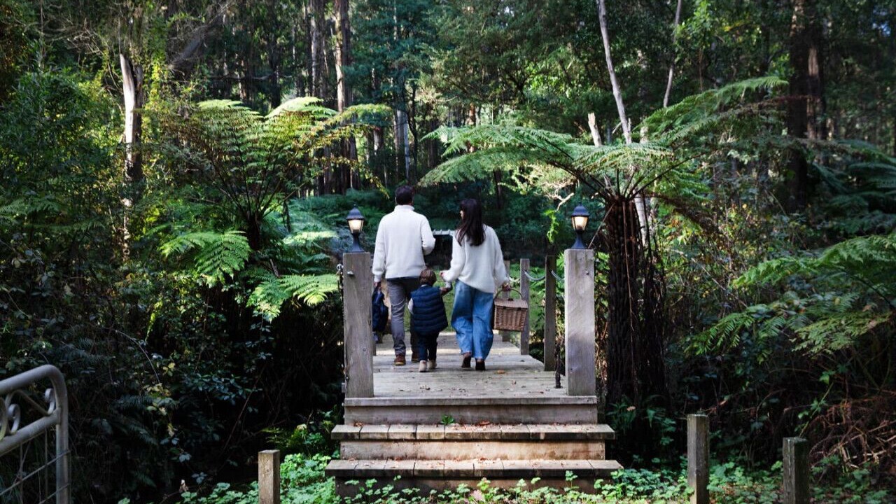 Photo of Outdoor in Toolangi