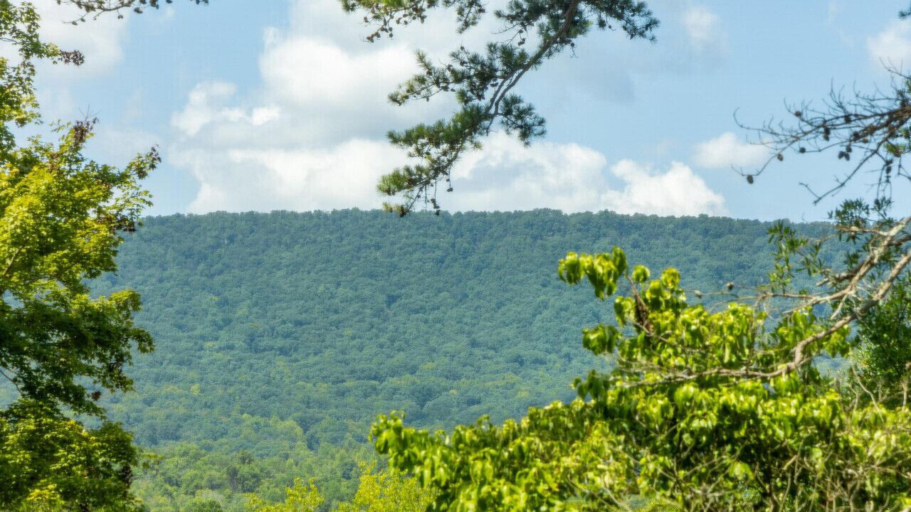 Photo of Others in Chattanooga Valley