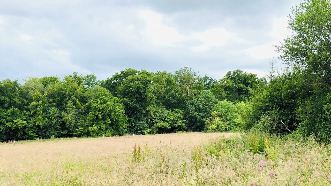 Photo of Others in Ablon