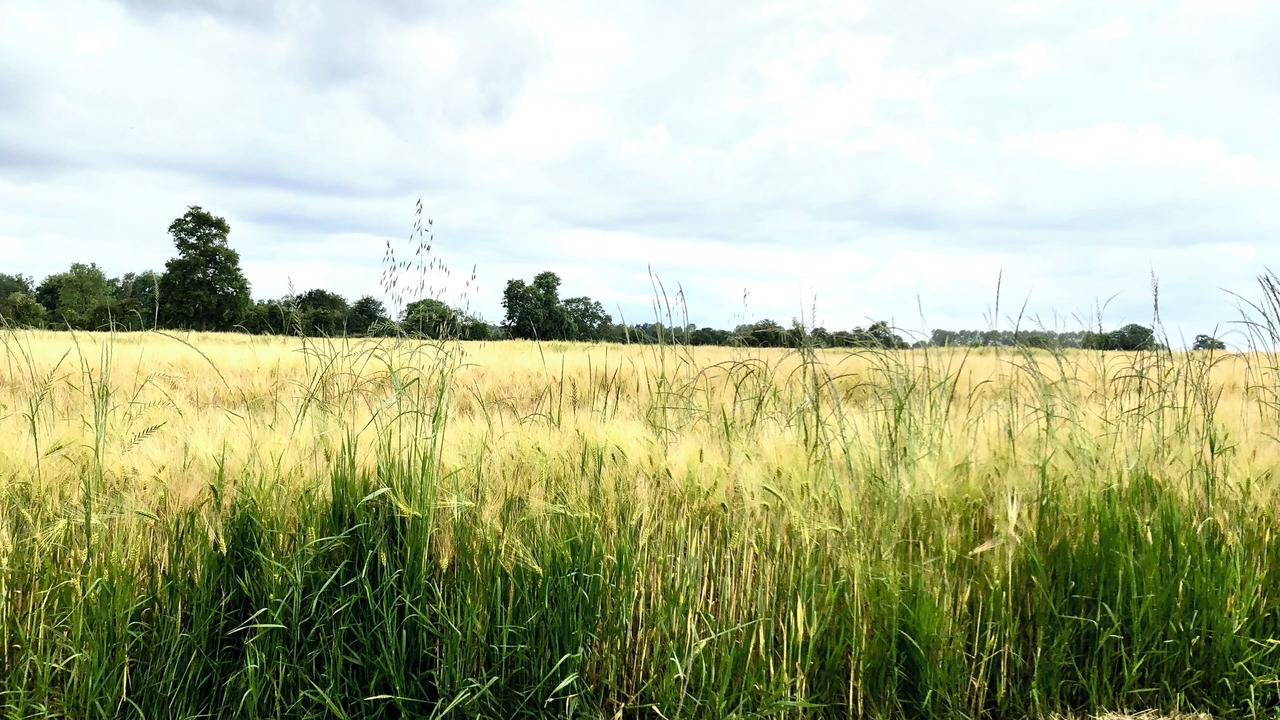 Photo of Others in Ablon