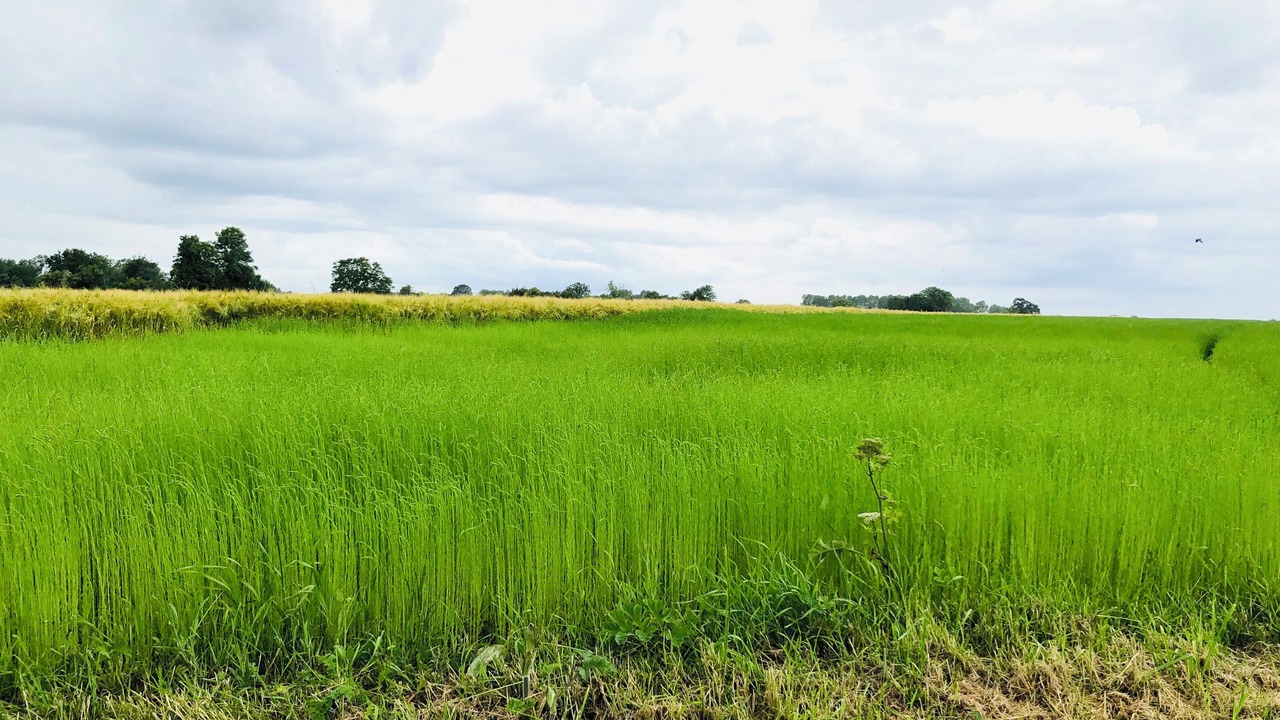 Photo of Others in Ablon