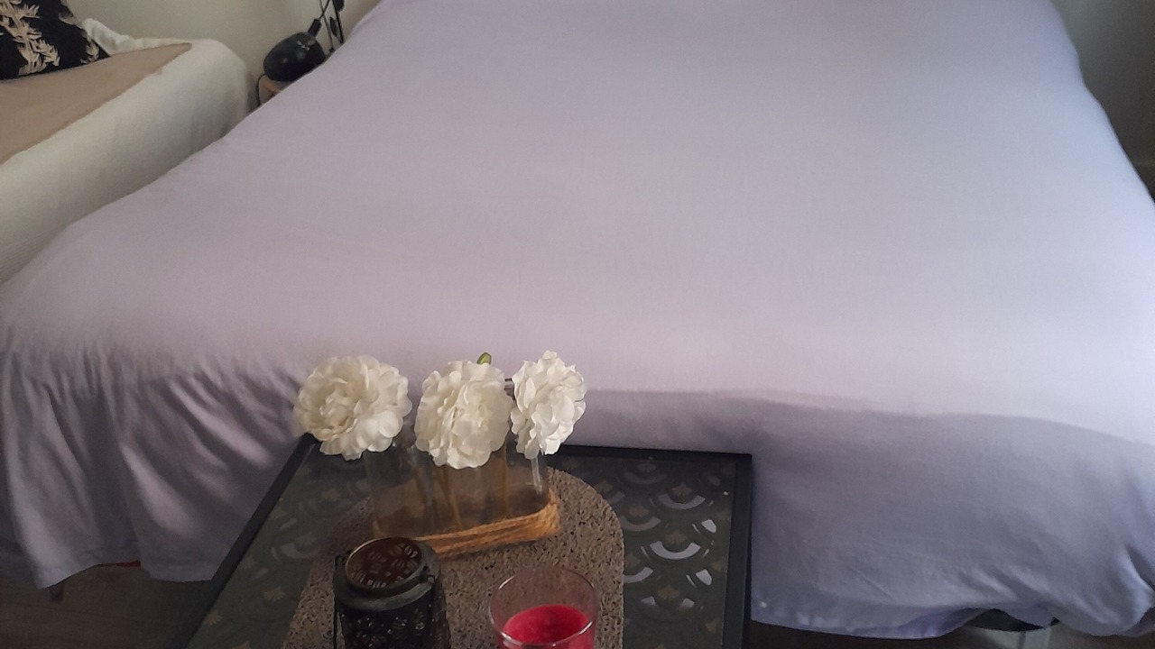Photo of Bedroom in Lemasson