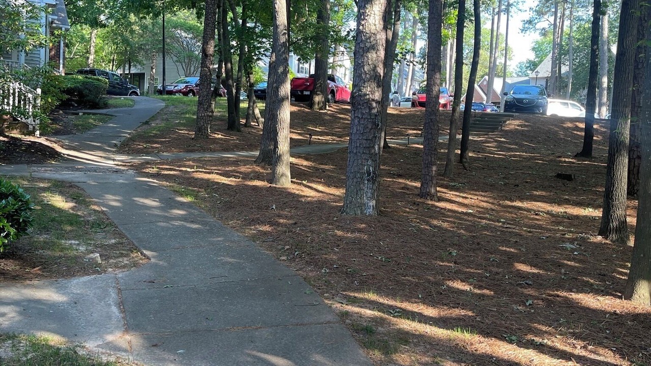 Photo of Outdoor in Southwest Raleigh
