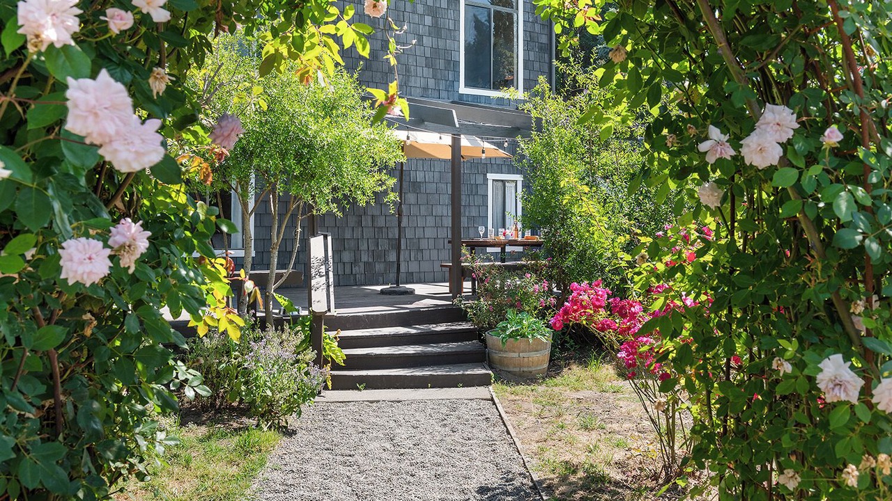 Photo of Outdoor in Monte Rio