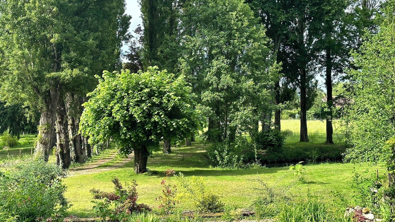 Photo of Outdoor in Saint-Ouen-les-Vignes