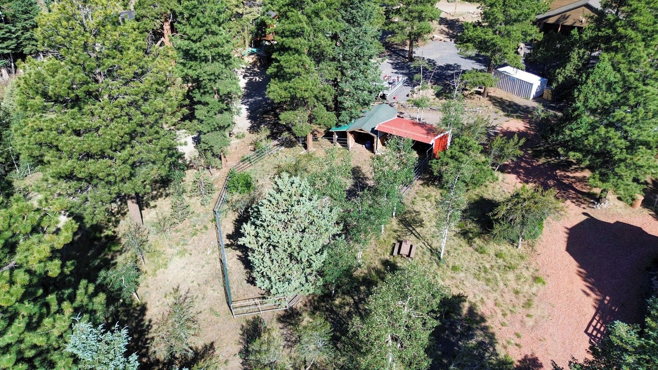Photo of Outdoor in Mammoth Creek