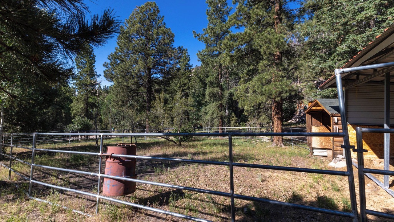 Photo of Outdoor in Mammoth Creek