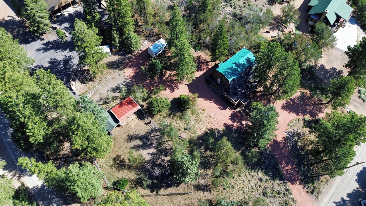 Photo of Outdoor in Mammoth Creek