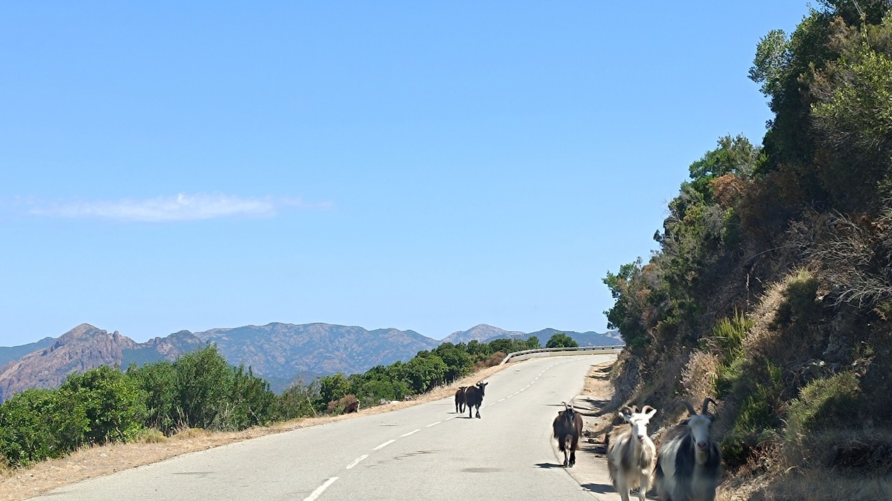 Photo of Others in Piana