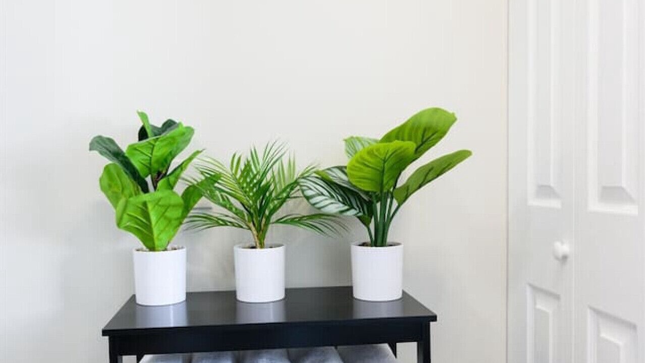 Photo of Others in North Lawndale