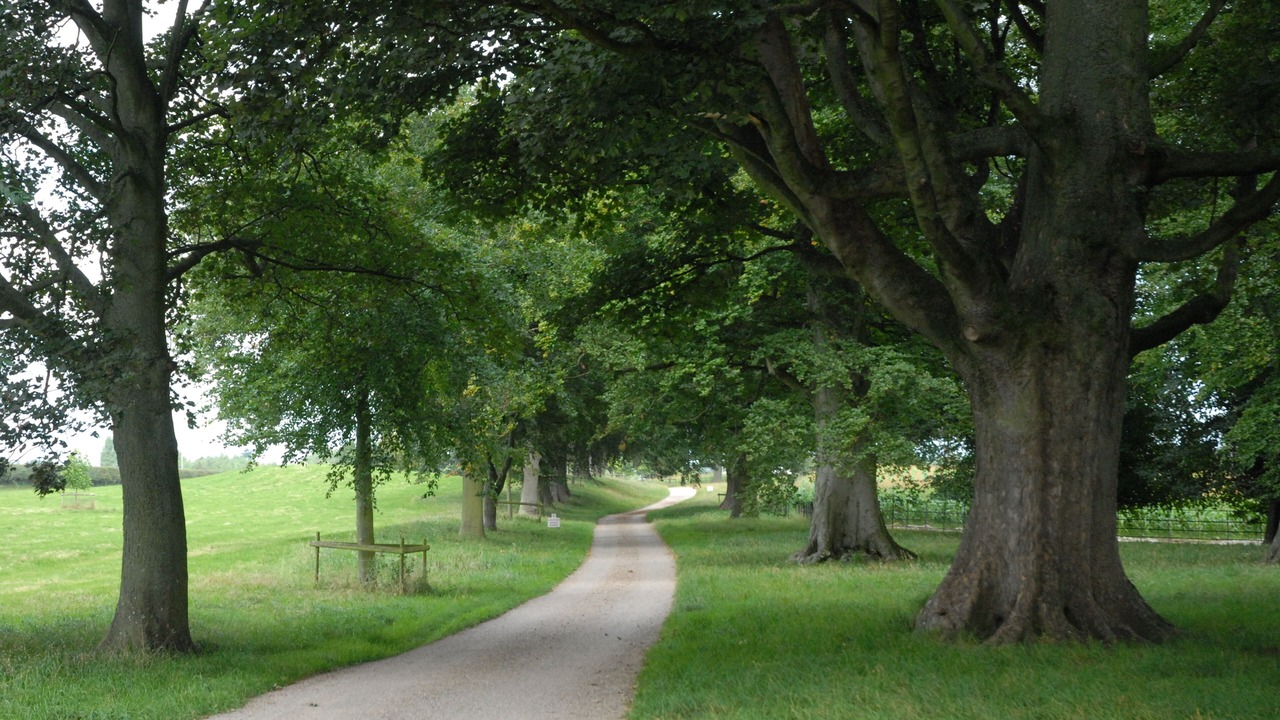 Photo of Others in Nercwys