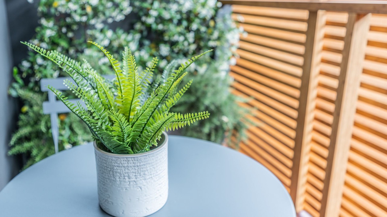 Photo of Patio Balcony in Waverley