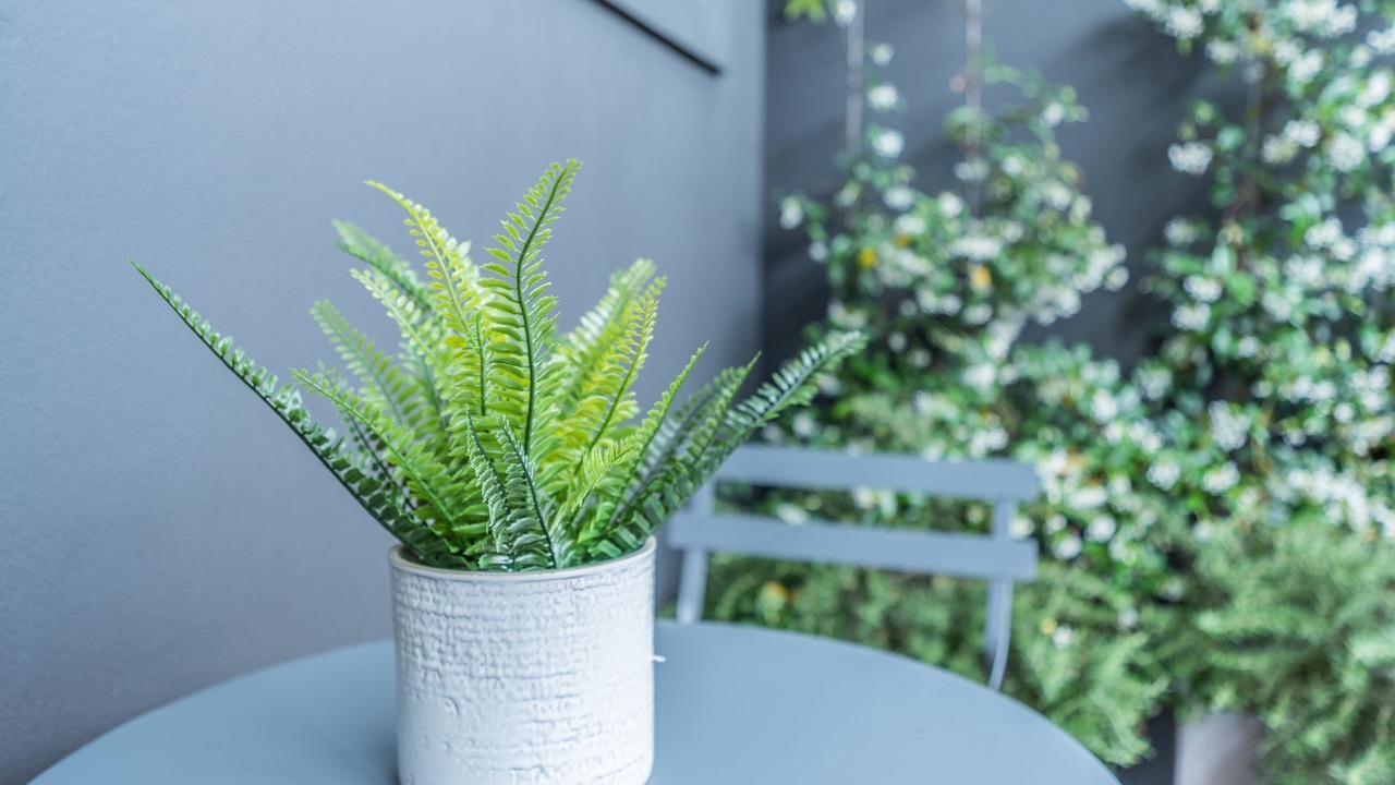 Photo of Patio Balcony in Waverley