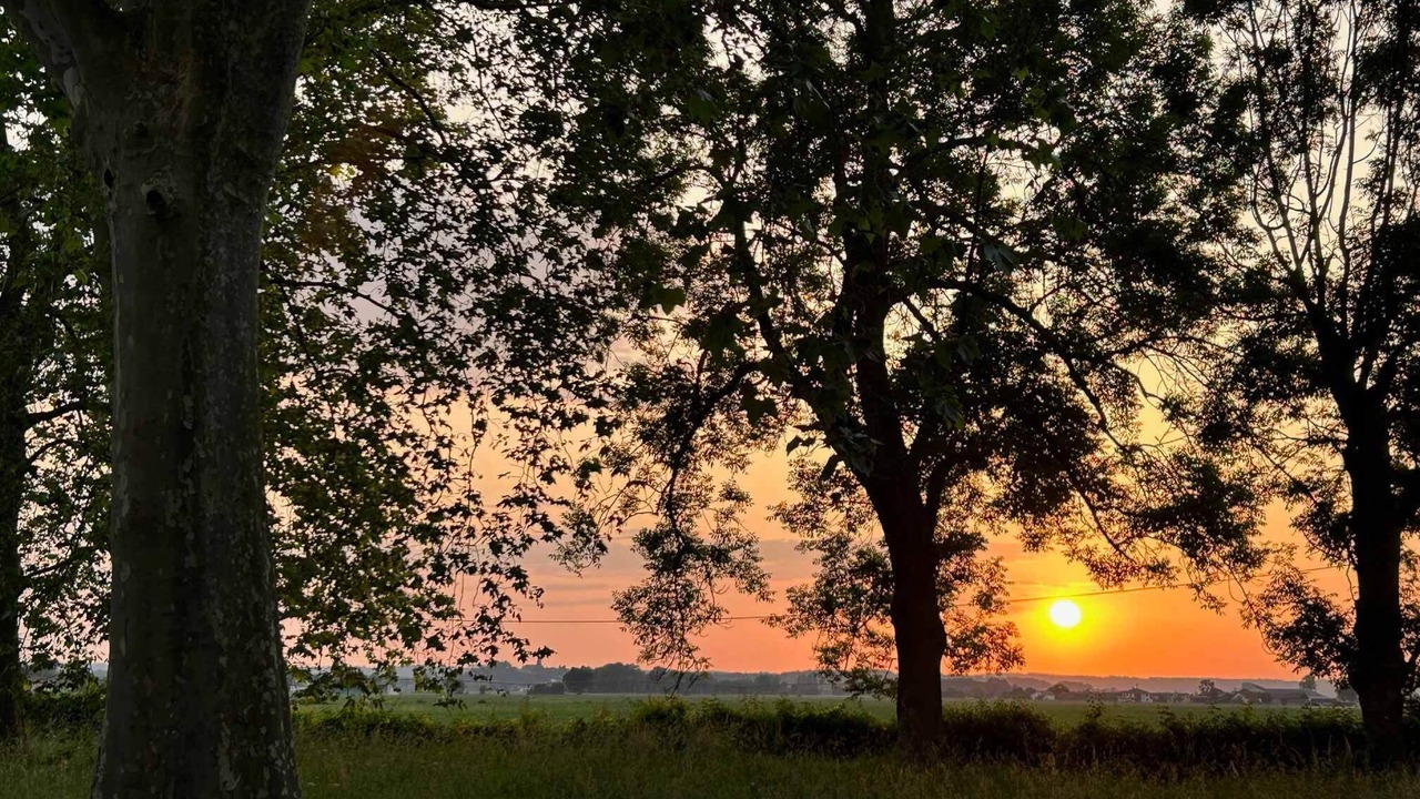 Photo of Others in Barbachen