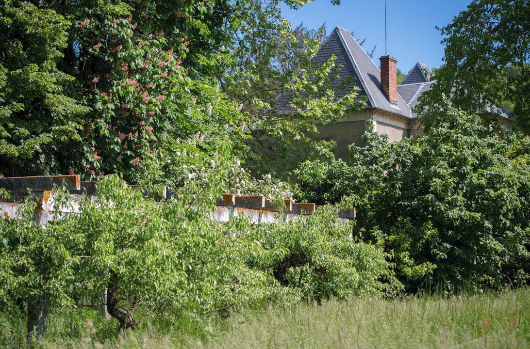 Photo of Outdoor in Barbachen