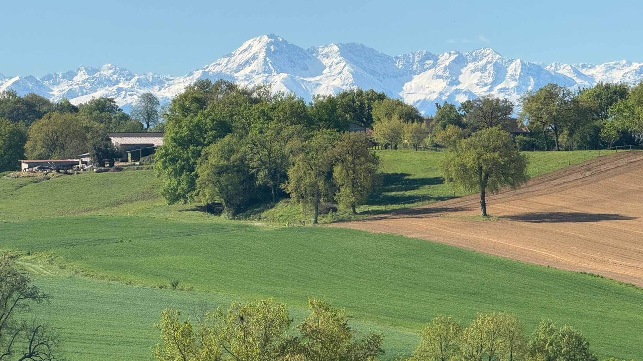 Photo of Others in Barbachen