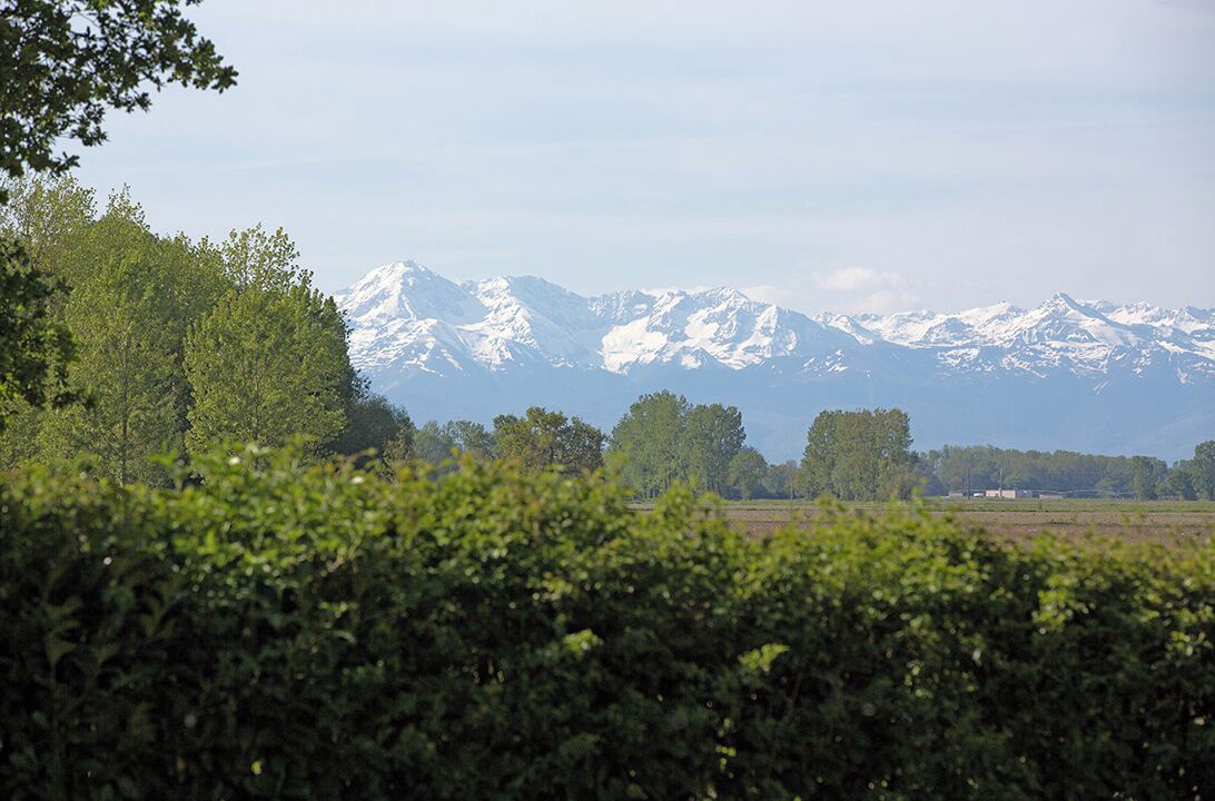 Photo of Others in Barbachen