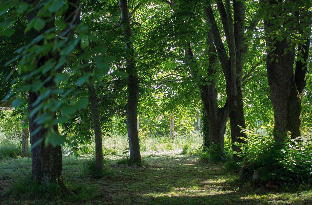 Photo of Others in Barbachen