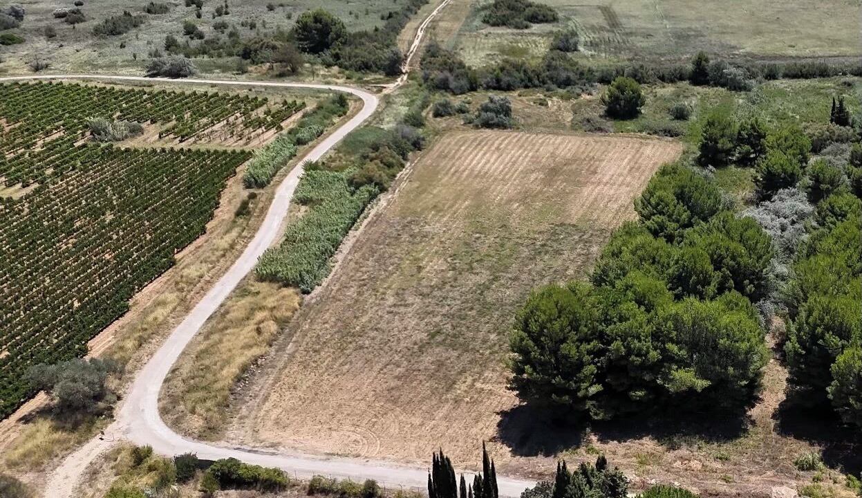 Photo of Outdoor in Narbonne