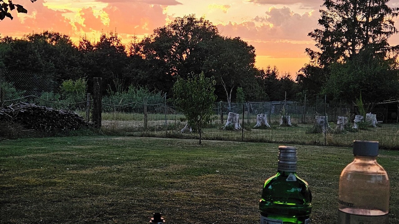 Photo of Outdoor in Quinssaines