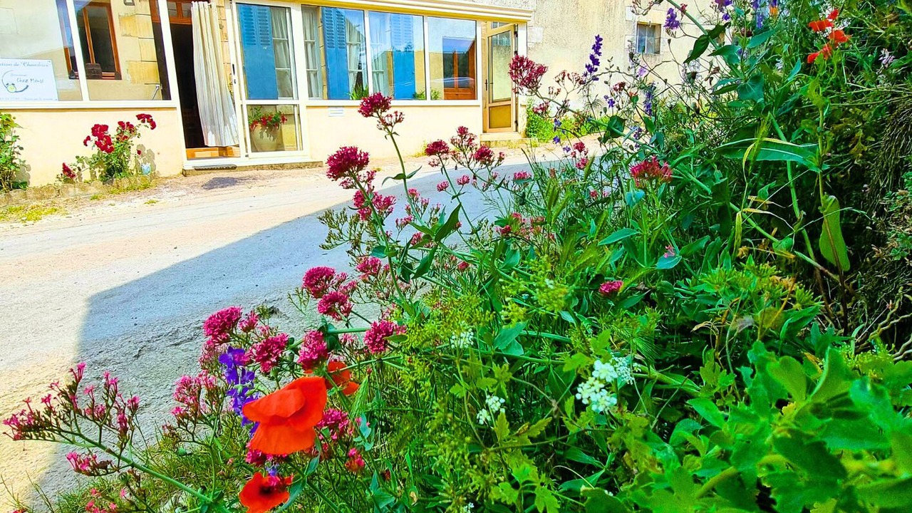 Photo of Outdoor in Treigny