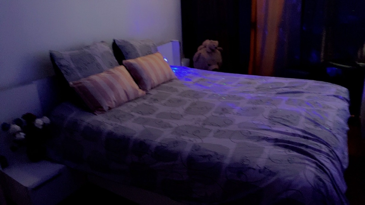 Photo of Bedroom in Chatillon