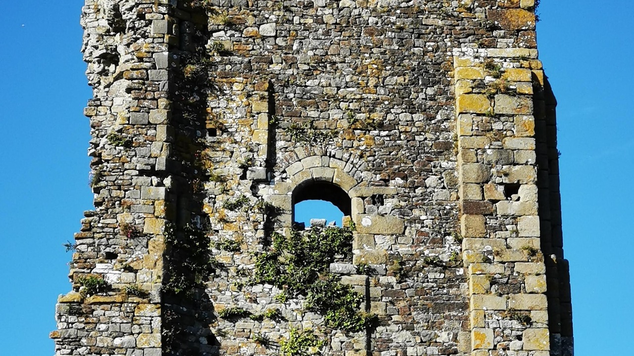 Photo of Others in Regnezville-sur-Mer