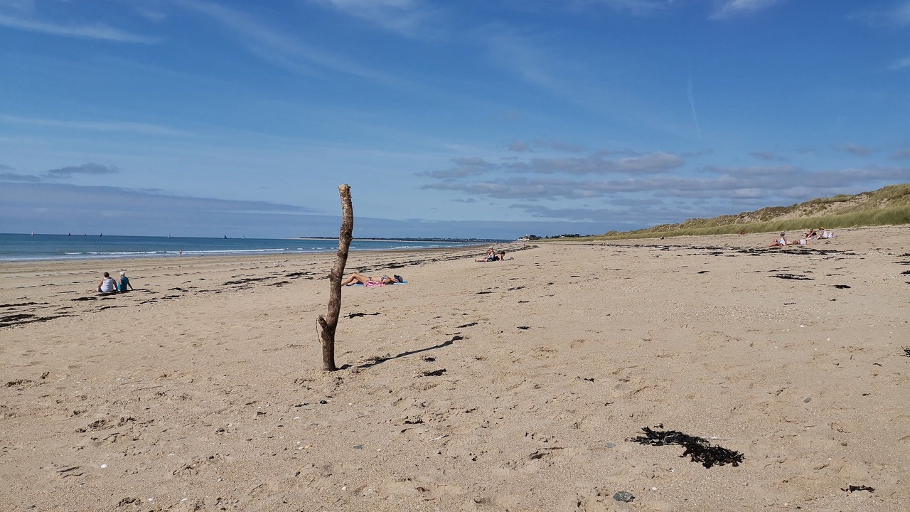 Photo of Others in Regnezville-sur-Mer