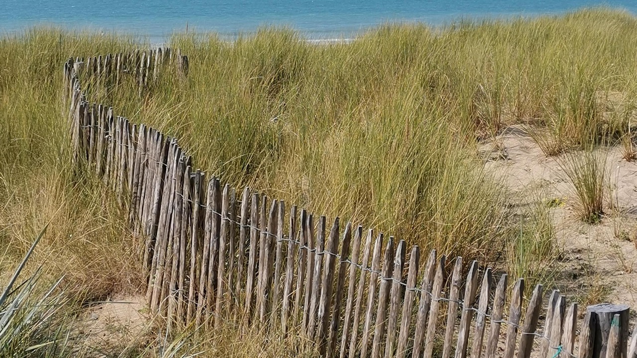 Photo of Others in Regnezville-sur-Mer