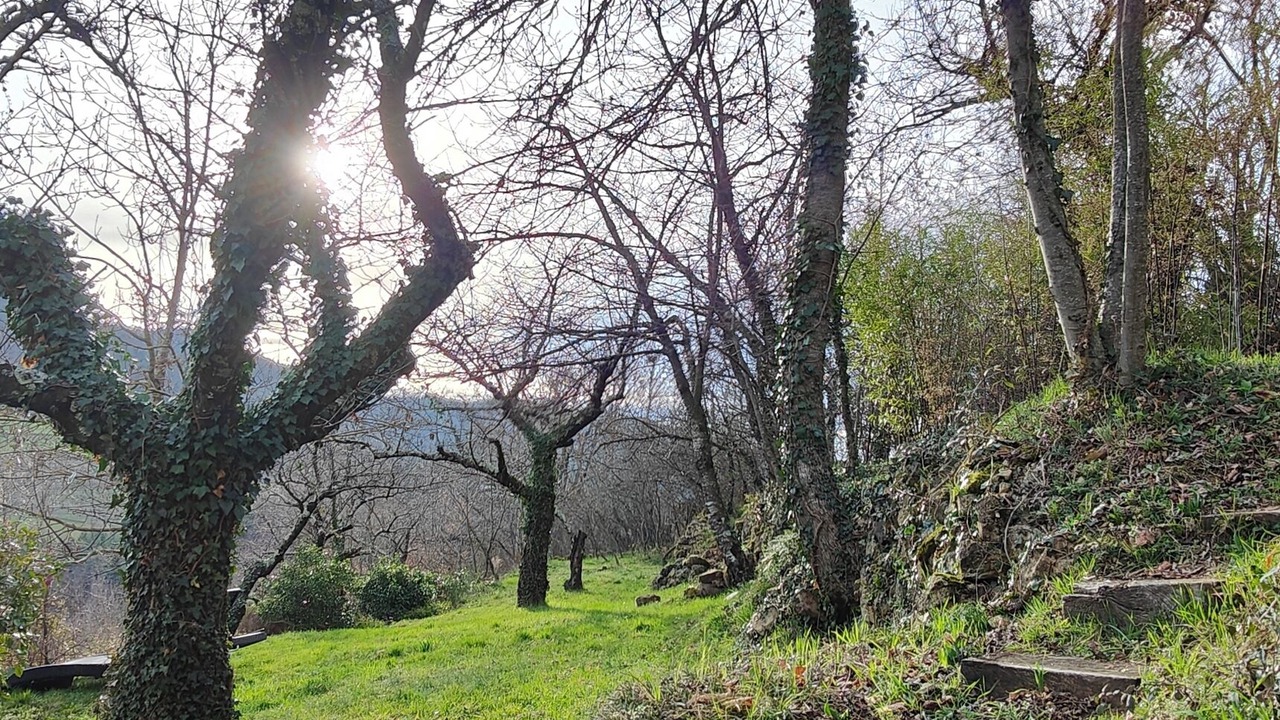 Photo of Outdoor in Empurany