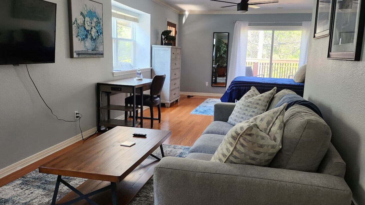 Photo of Livingroom in Travis Heights