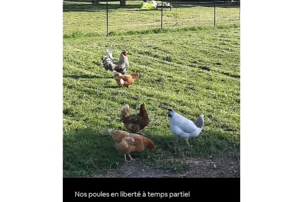 Photo of Others in Quinssaines