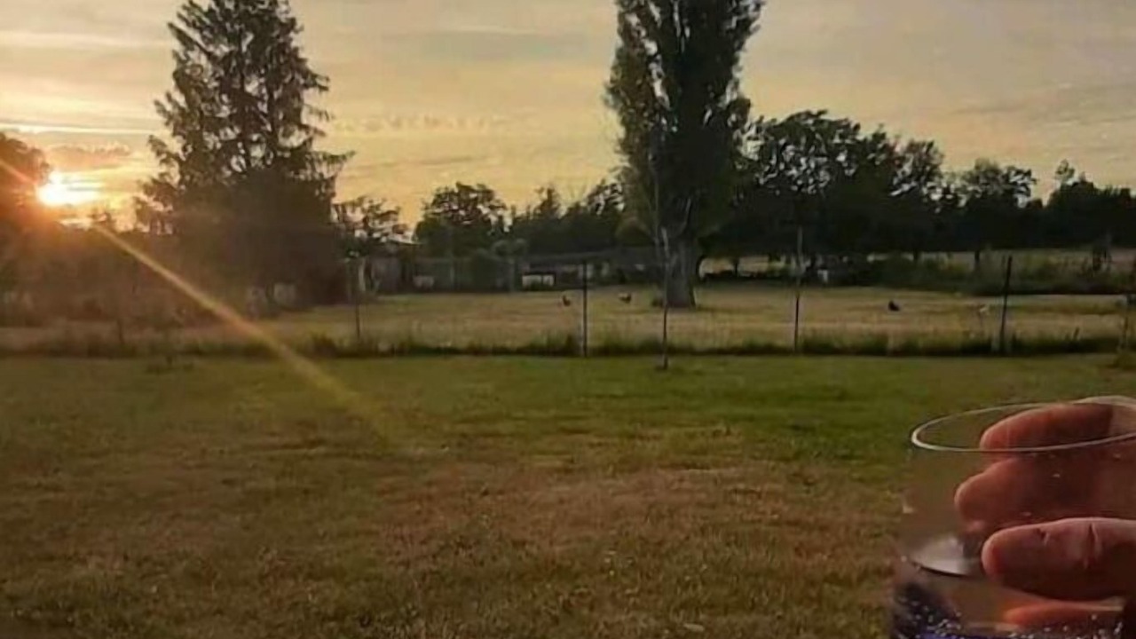 Photo of Outdoor in Quinssaines