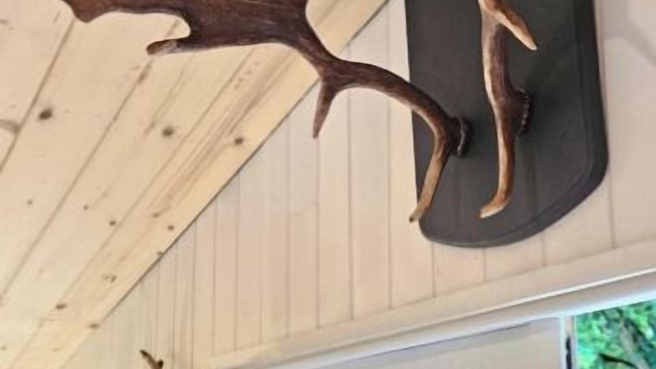 Photo of Others in Quinssaines