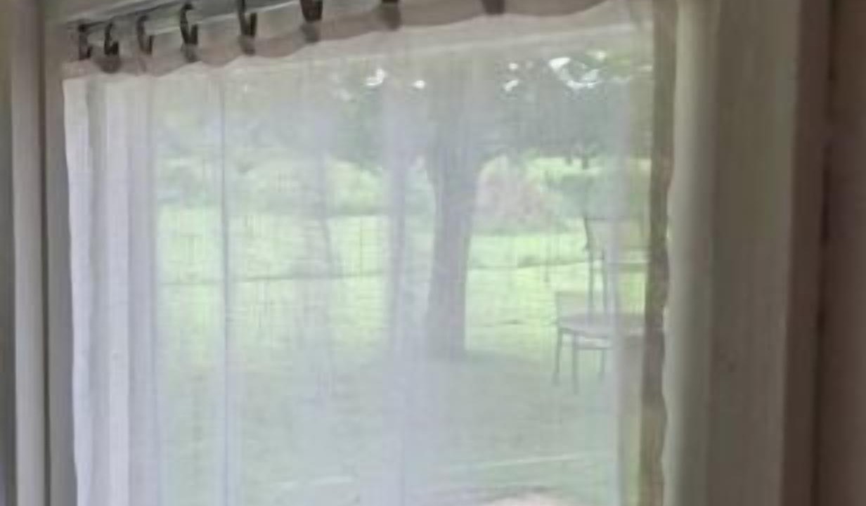 Photo of Others in Quinssaines