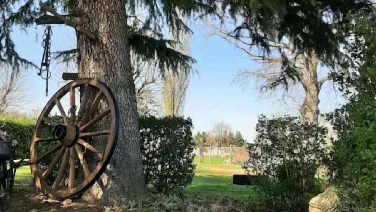 Photo of Outdoor in Quinssaines