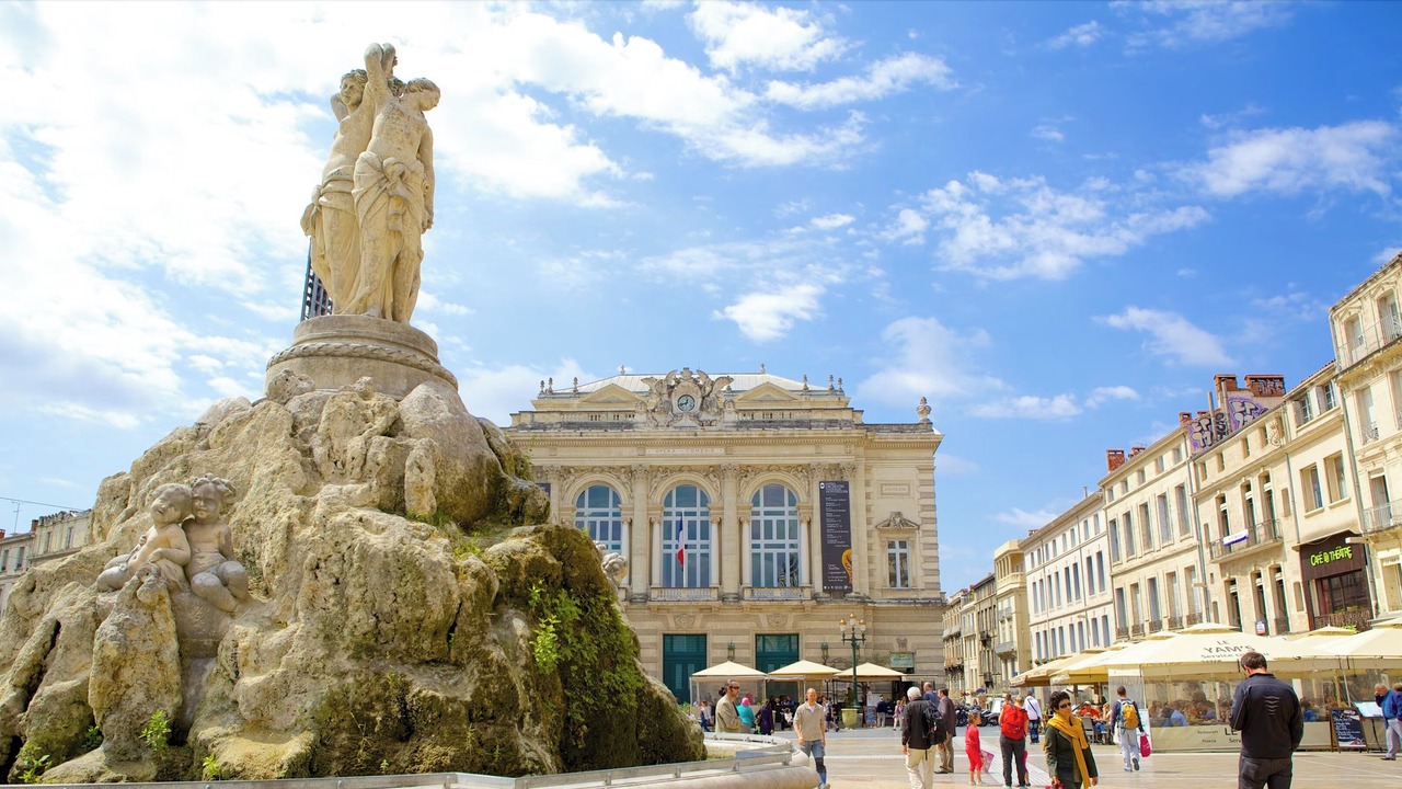 Photo of Others in Montpellier City-Centre
