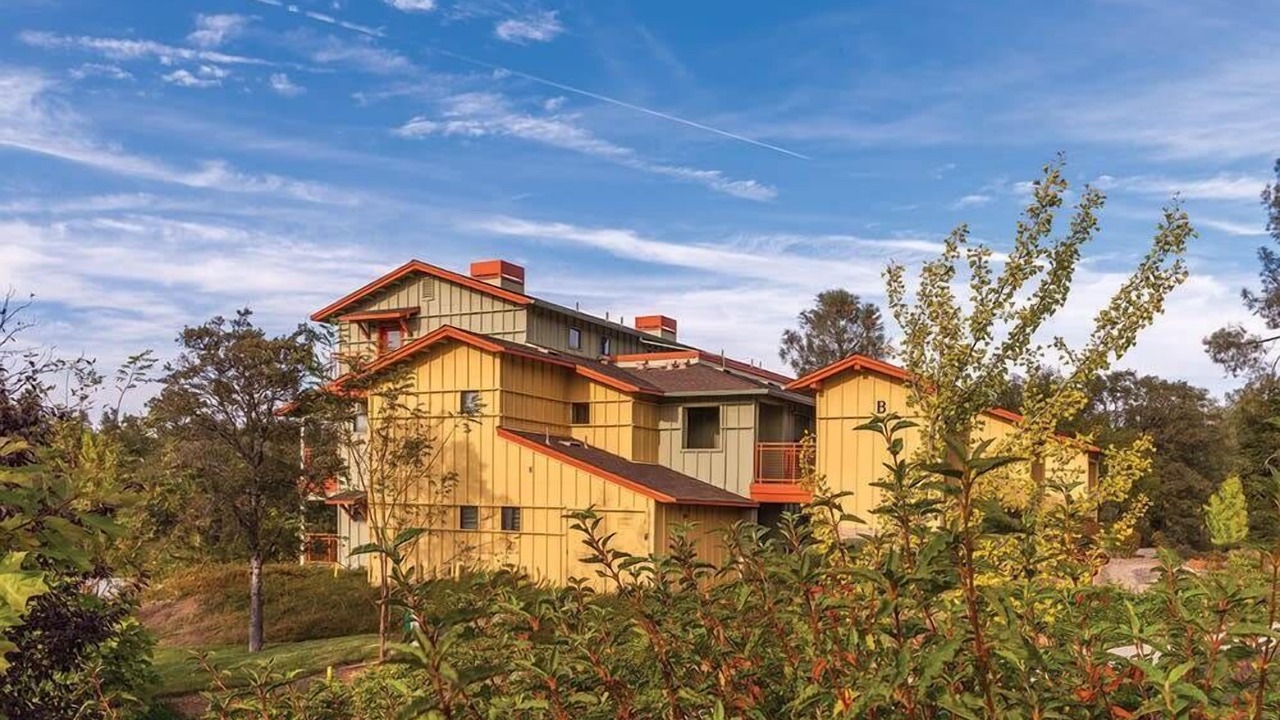Photo of Outdoor in Angels Camp