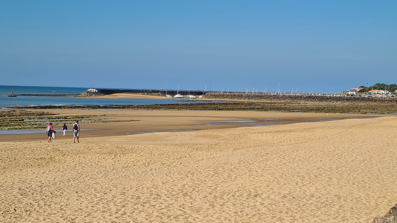 Photo of Others in Jard-sur-Mer