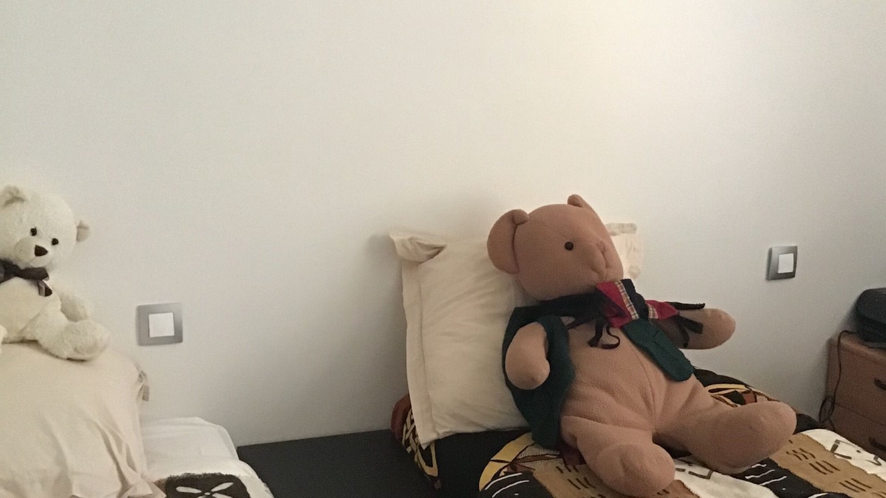 Photo of Bedroom in Etoile-sur-Rhone